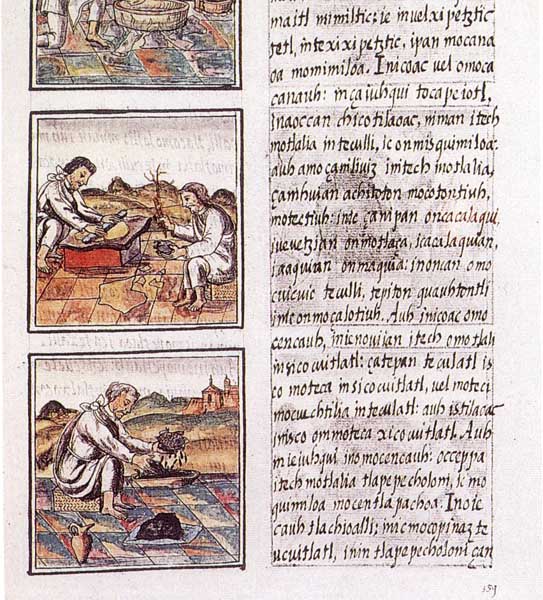 Florentine Codex, 1545-1590 — title page or representative image